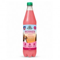 Kéfir d'eau Cranberry